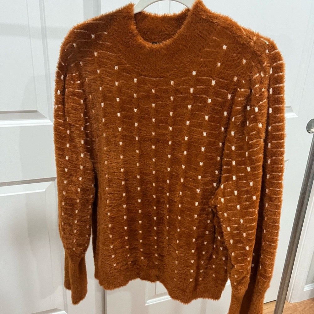 Ann Taylor Fuzzy Sweater